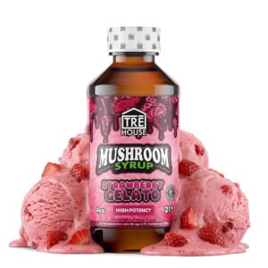 Tre House Magic Mushroom Strawberry Gelato Syrup
