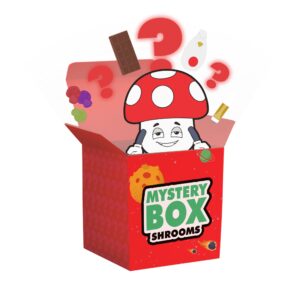 Mushroom E420  Mystery Box