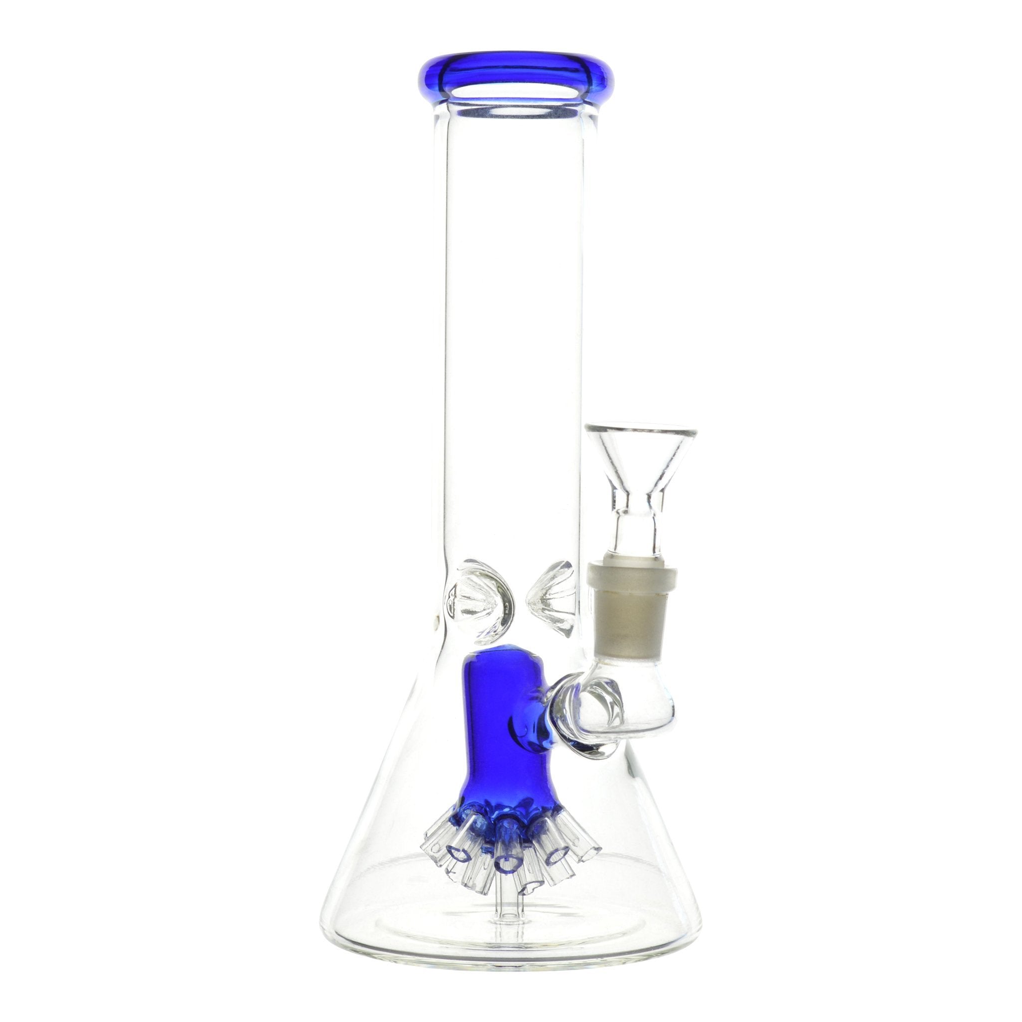 Blastoid Beaker - 8.5in - Image 2
