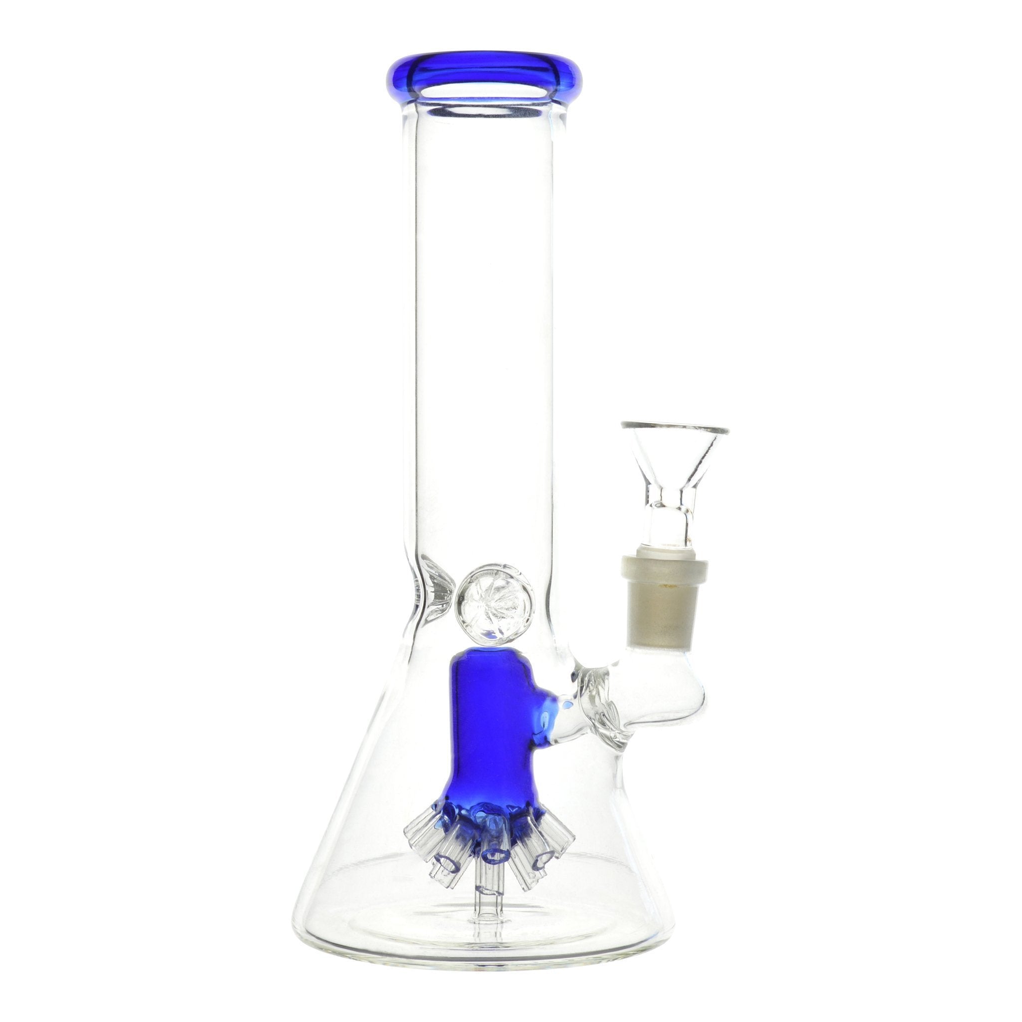 Blastoid Beaker - 8.5in