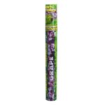 Grape