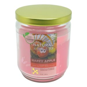 Deodorizer Candle - 4.5in