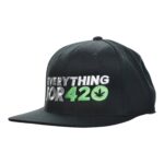 Snap Back