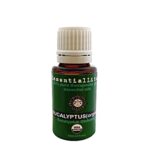 Eucalyptus