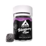 Purple Berry