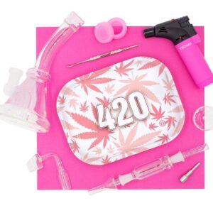 Perfect in Pink Dabber Set
