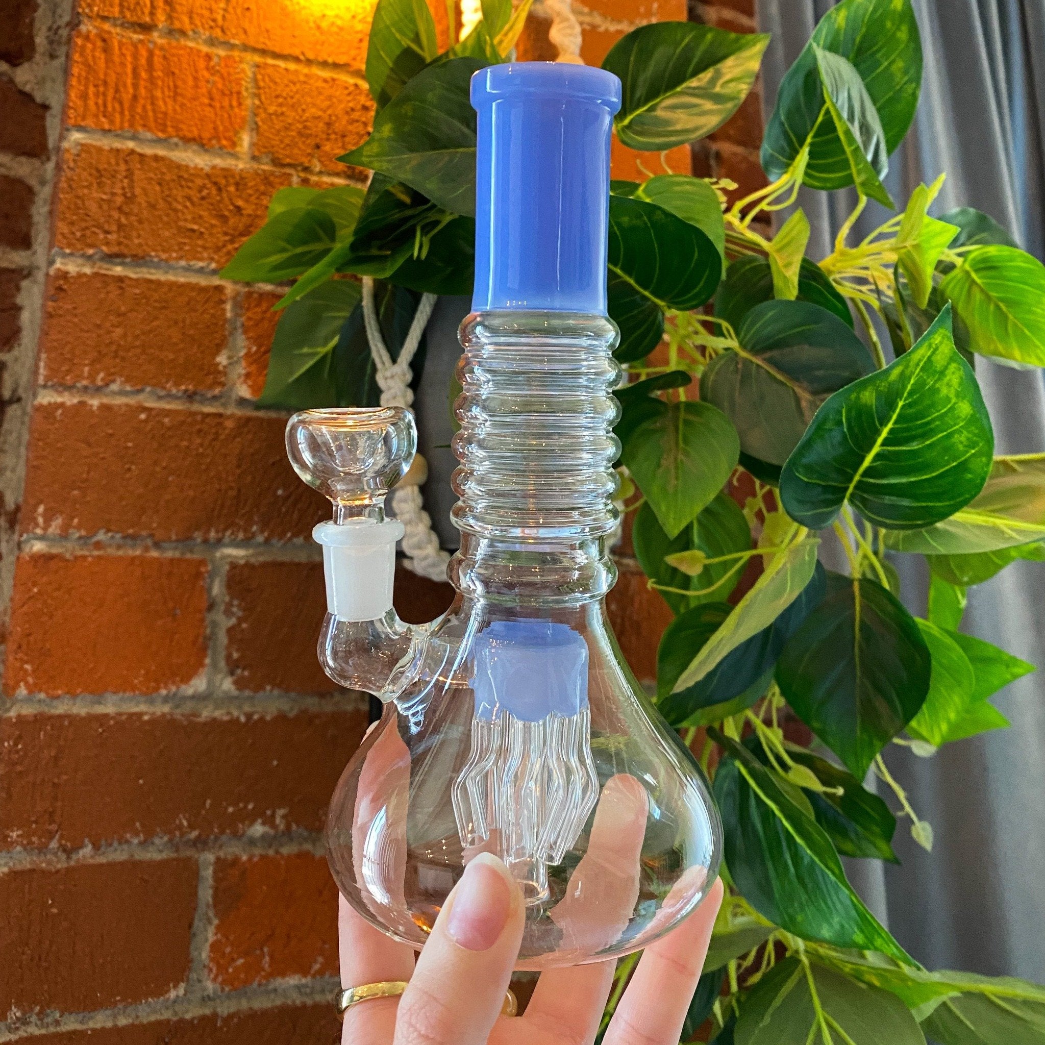 Ridgid Stinger Perc Bong - 8in - Image 4