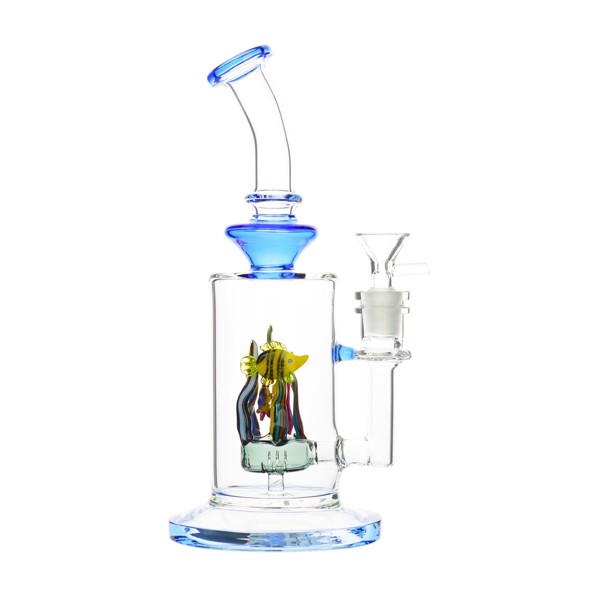 The Fish Tank - 9.5in
