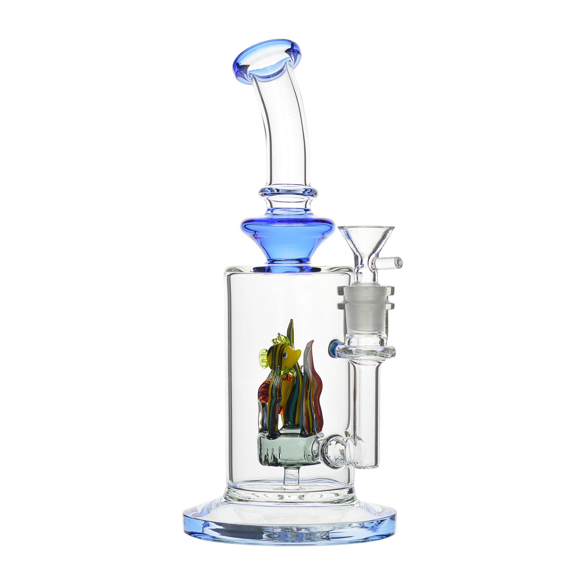 The Fish Tank - 9.5in - Image 4