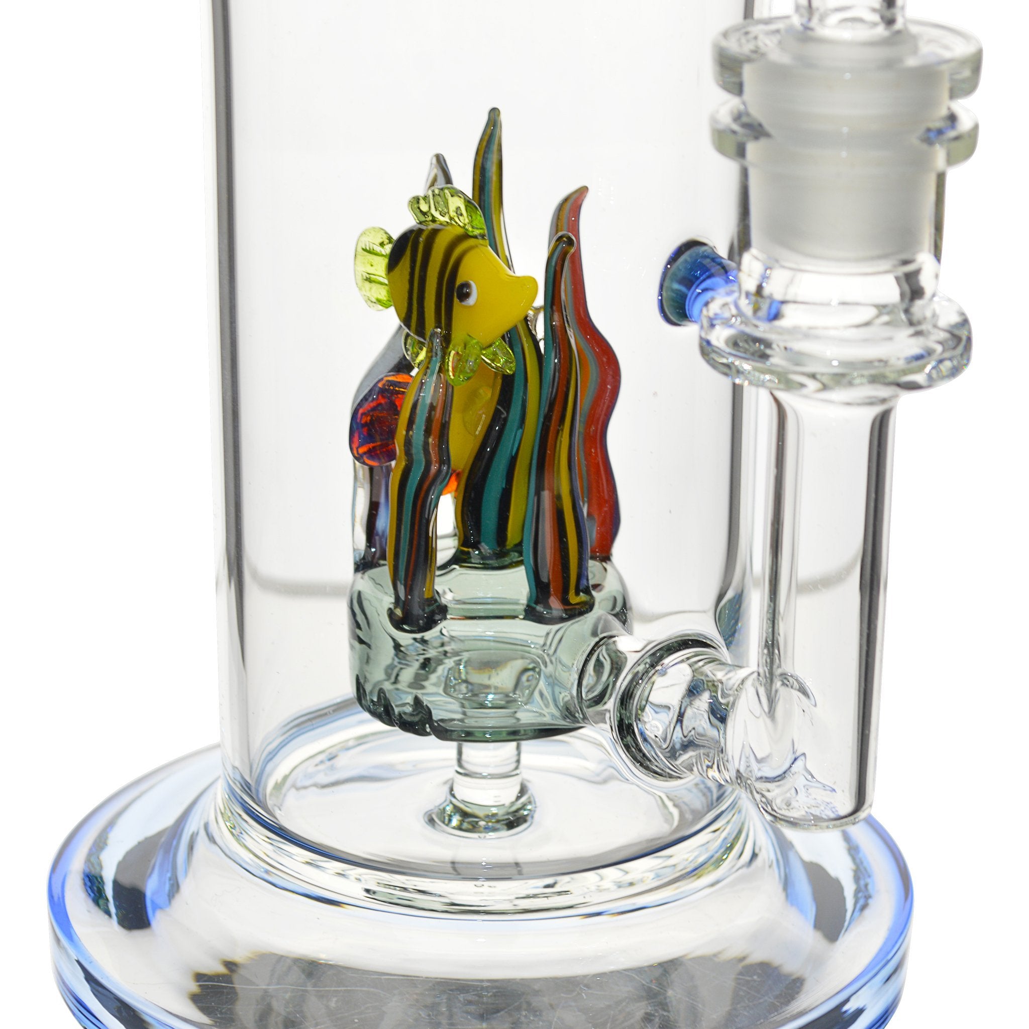 The Fish Tank - 9.5in - Image 2