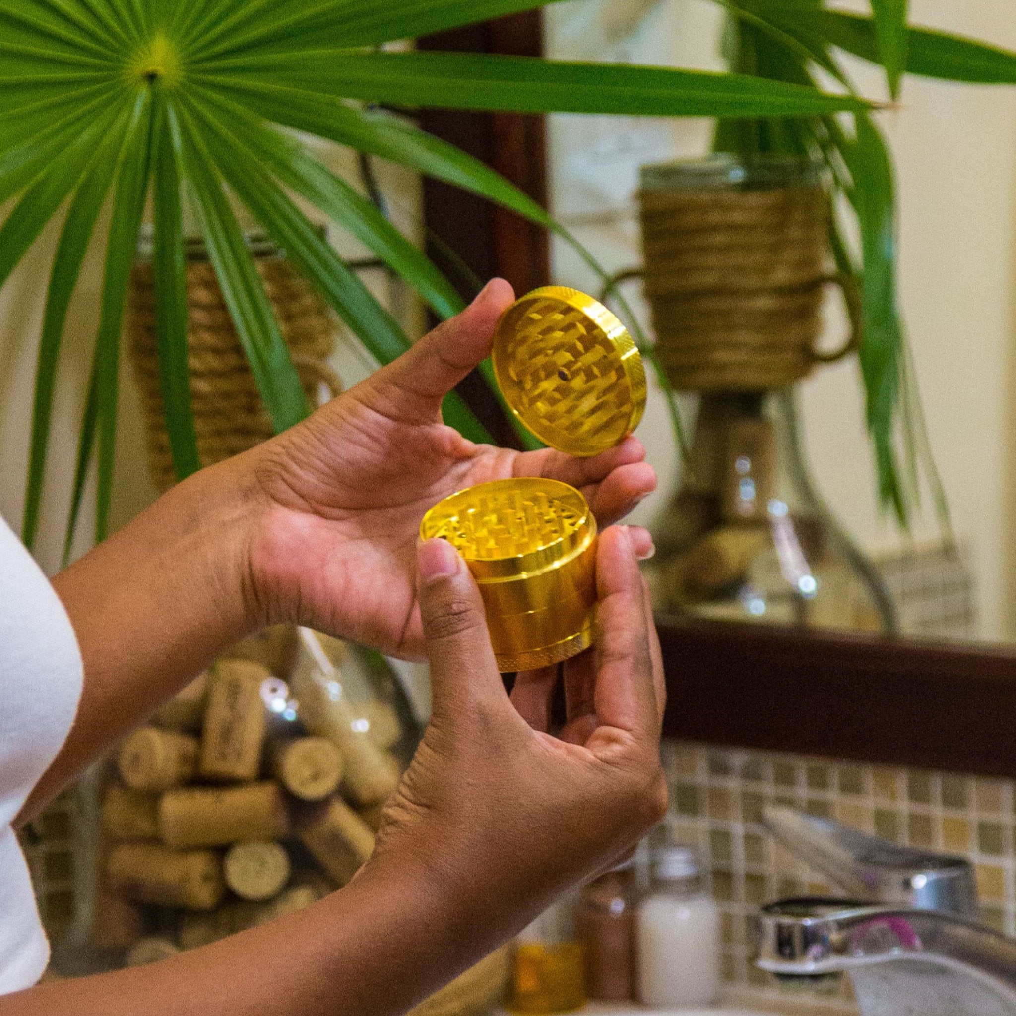 The Golden Grinder - Image 2