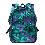 Cosmic Chronic