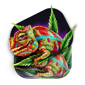 V Syndicate Cloud 9 Chameleon Roll n Go Set