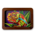 Cloud 9 Cameleon
