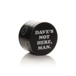 Dave's Not Here, Man