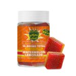 Watermelon Lemonade (H)