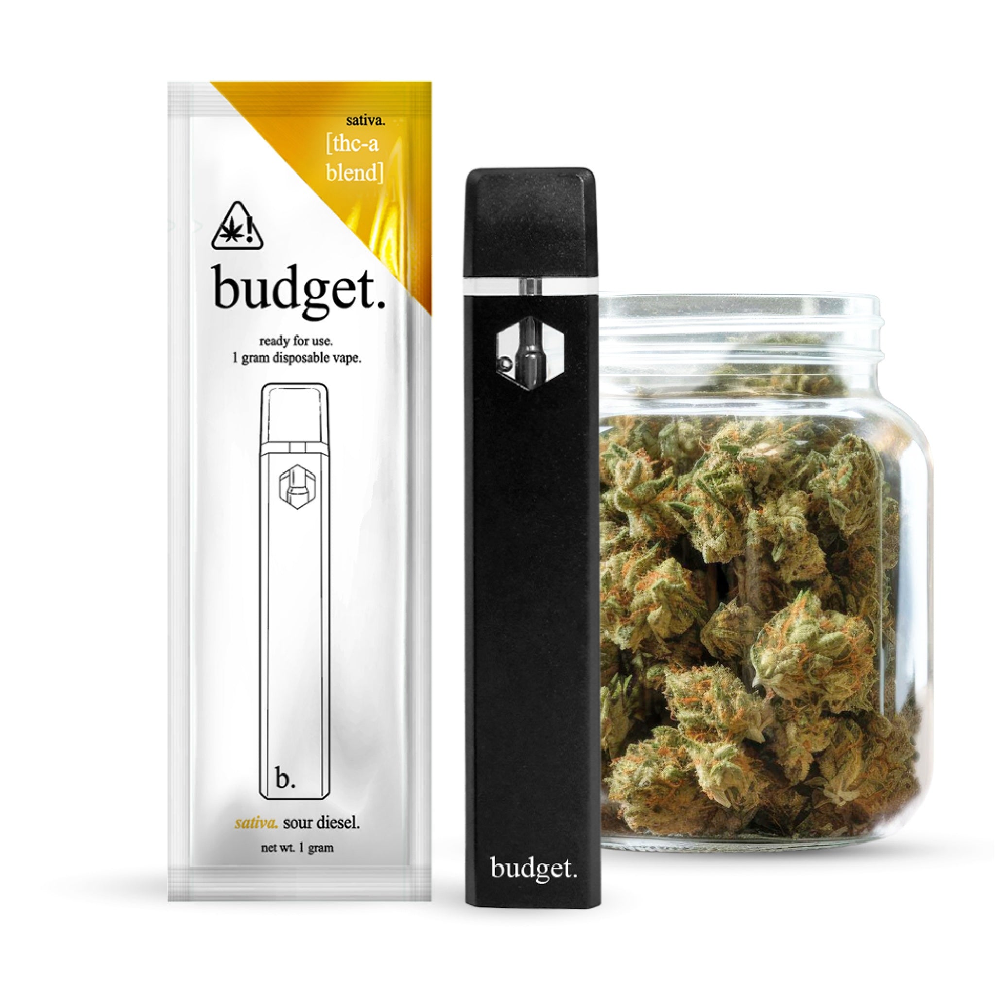 Budget THC-A Device - 1000mg - Image 2